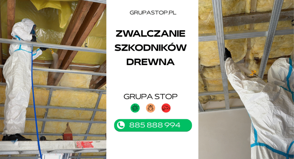 zwalczanie szkodników drewna grupastop